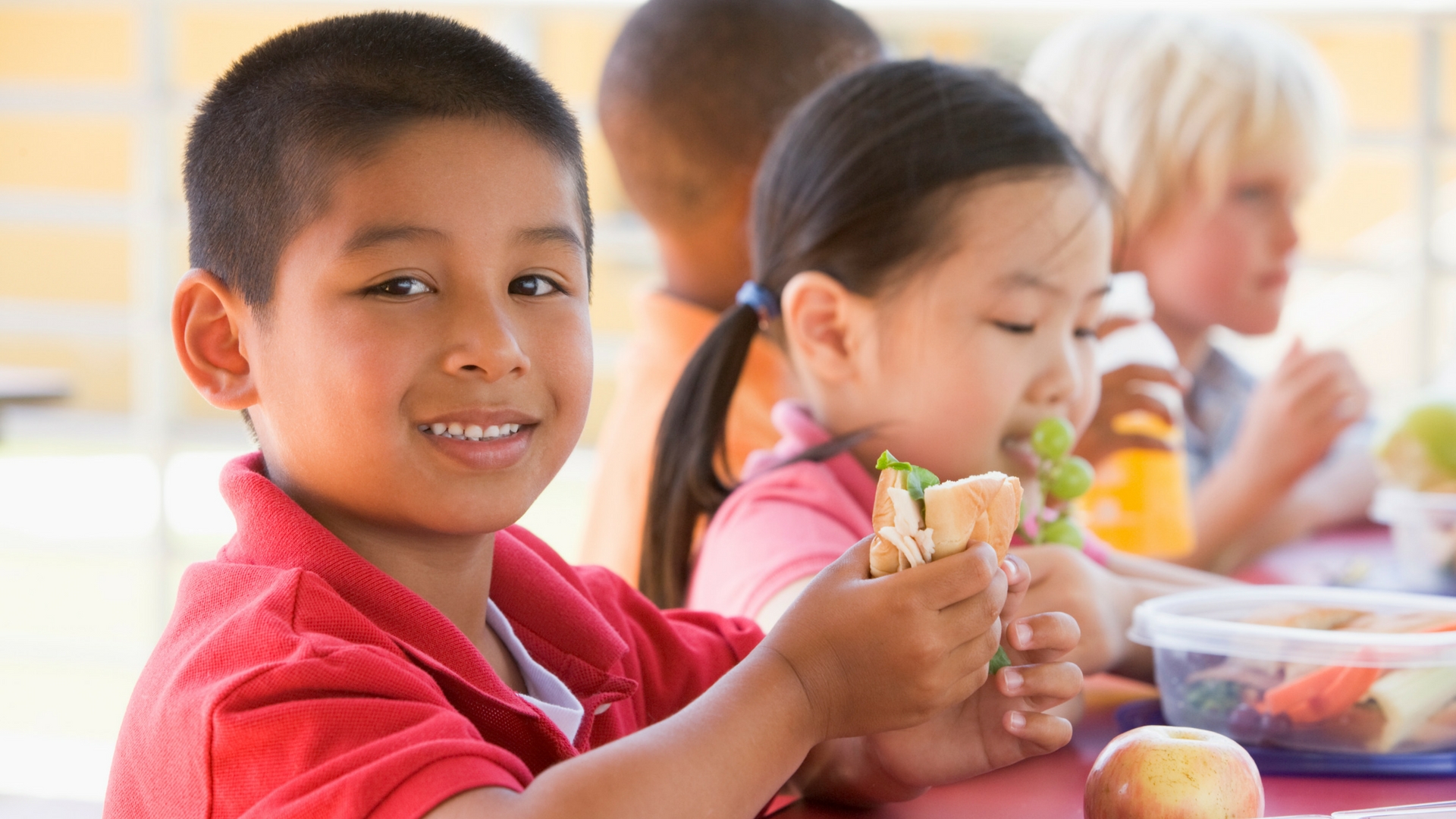 Help Colorado Kids Get Healthy School Lunches You re The Cure Help Colorado Kids Get Healthy School Lunches You re The Cure